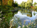 Monet
