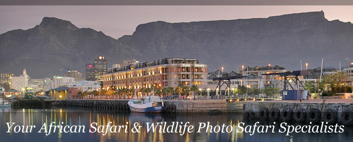 cape grace cape grace