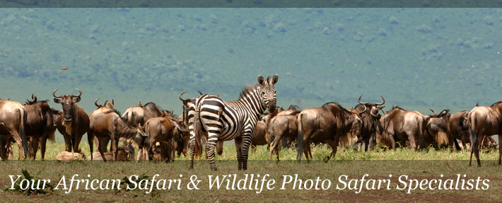 kenya kenya