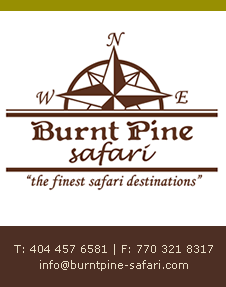 burnt pine safari