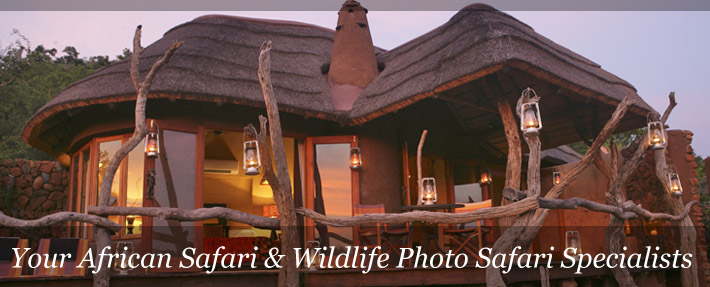 madikwe