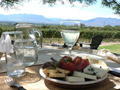 Lunch in vinyard