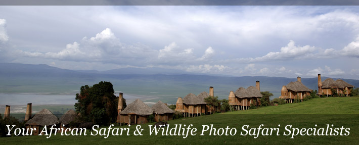 ngorongoro