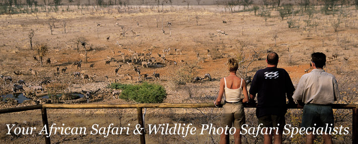 safari destinations safari destinations