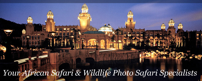 palace sun city