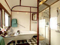 luxury trains