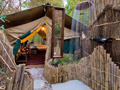 selous project
