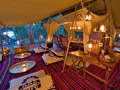selous project