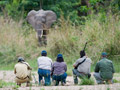 selous project