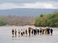 selous project
