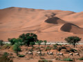 sossusvlei