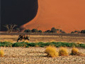 sossusvlei