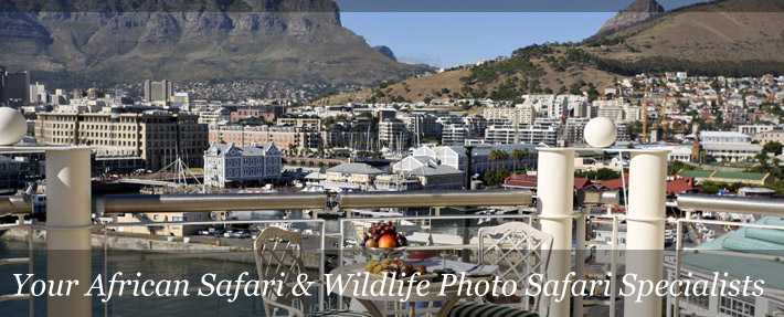 table bay hotel table bay hotel