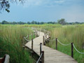 vumbura